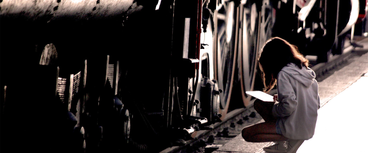 Detectives del tren